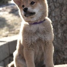 Схема вышивки «№244115»