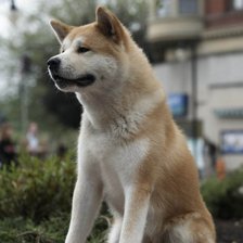 Схема вышивки «№244117»