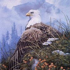 Схема вышивки «№244136»