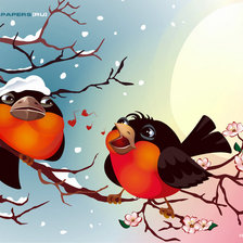 Пара снегирей