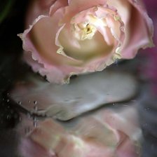 Схема вышивки «Отражение»