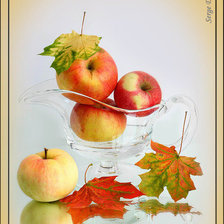 Схема вышивки «Осенний этюд»