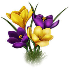 Схема вышивки «Подснежники»