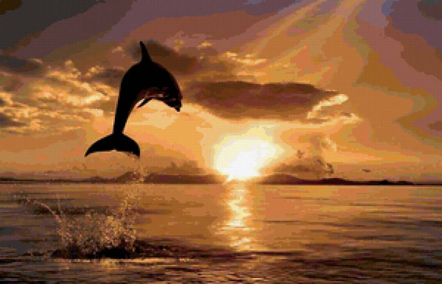 дельфин на закате - предпросмотр