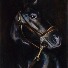 Схема вышивки «черный конь»