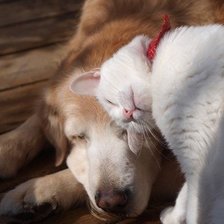 Схема вышивки «любовь»