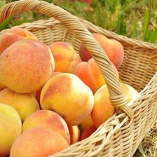 Схема вышивки «сочные персики»