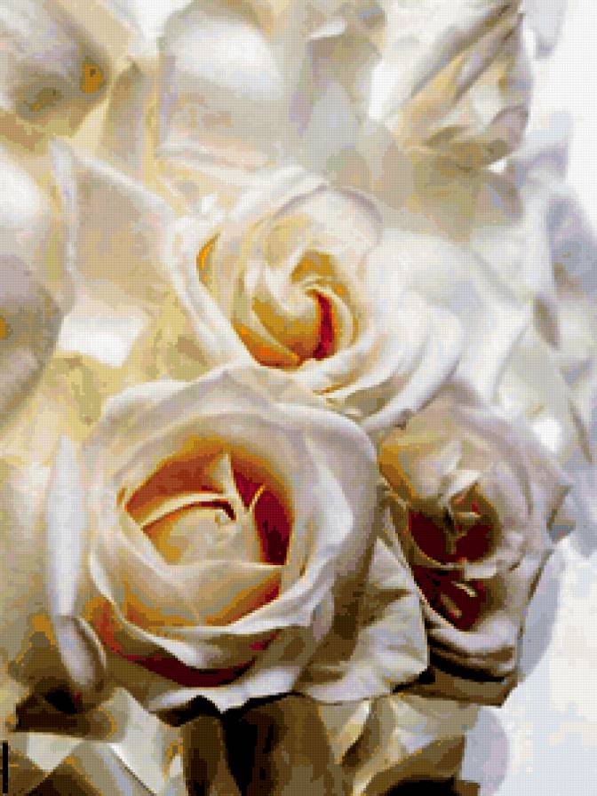 белые розы - предпросмотр