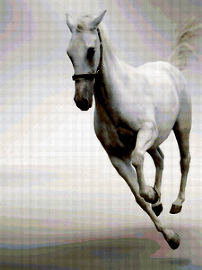 белая лошадь - предпросмотр