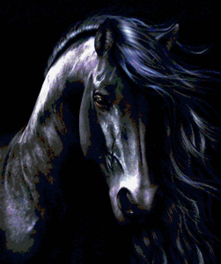 черная лошадь - предпросмотр