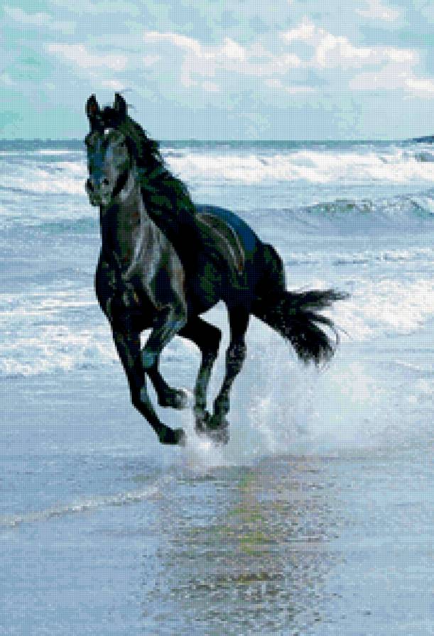 конь бегущий по волнам - предпросмотр