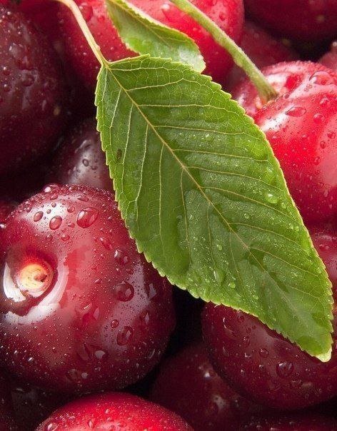 вишенки - оригинал