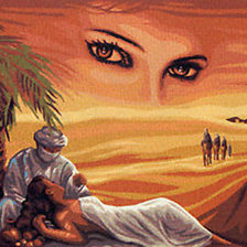 Схема вышивки «гарем»