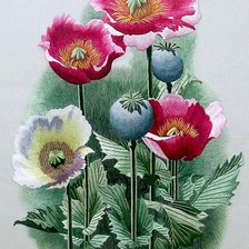 Схема вышивки «№244502»