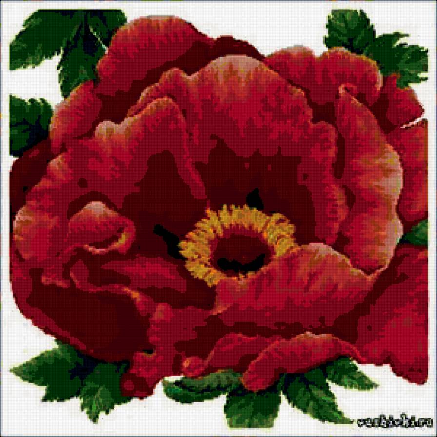 КРАСНЫЙ МАК - цветы, подушка - предпросмотр