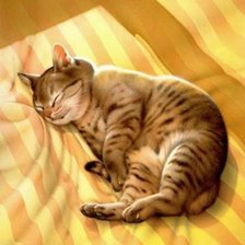 Схема вышивки «кошки»