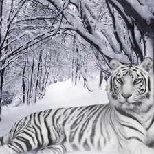 Схема вышивки «тигр»