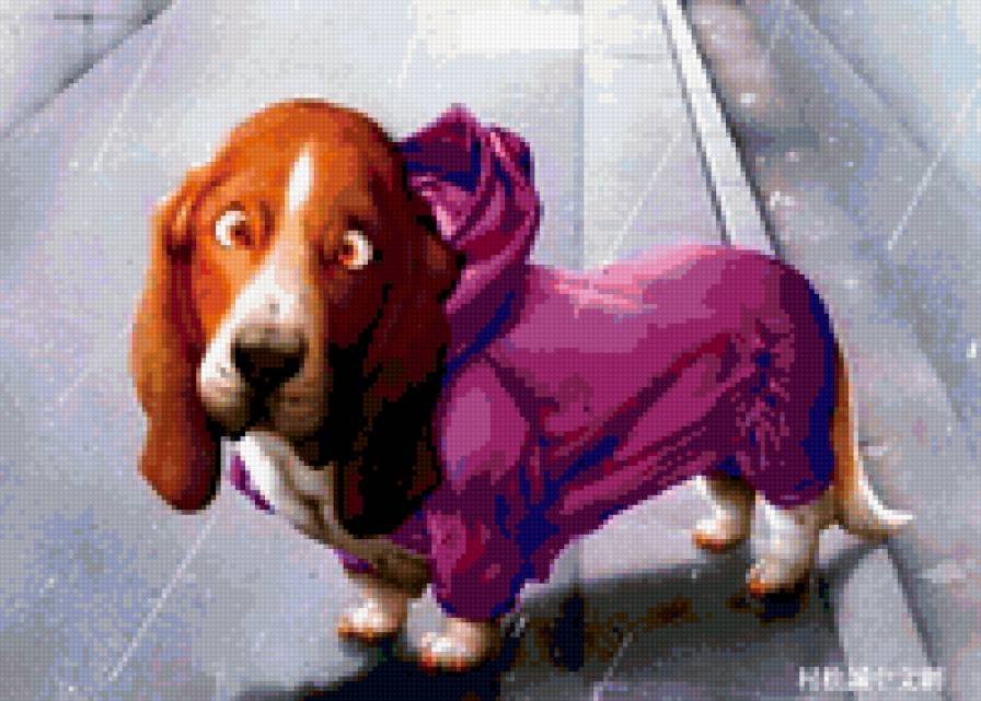 собаки - предпросмотр