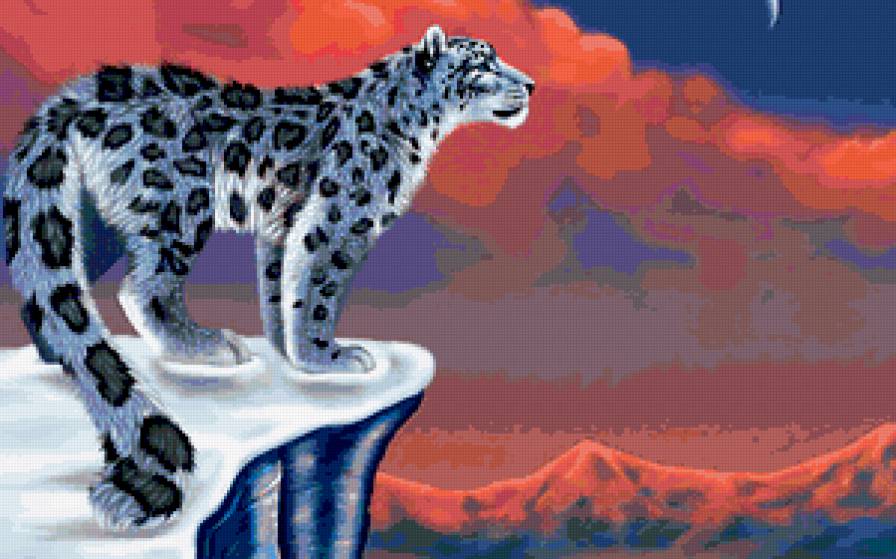 Кот - животные, котик, кот, тигр - предпросмотр