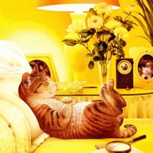 Схема вышивки «кошки»