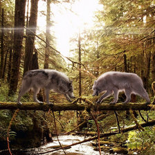 Схема вышивки «волки»