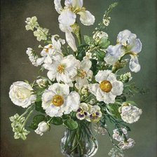 Белые ирисы Сесил Кеннеди