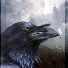 Схема вышивки «Ворон»