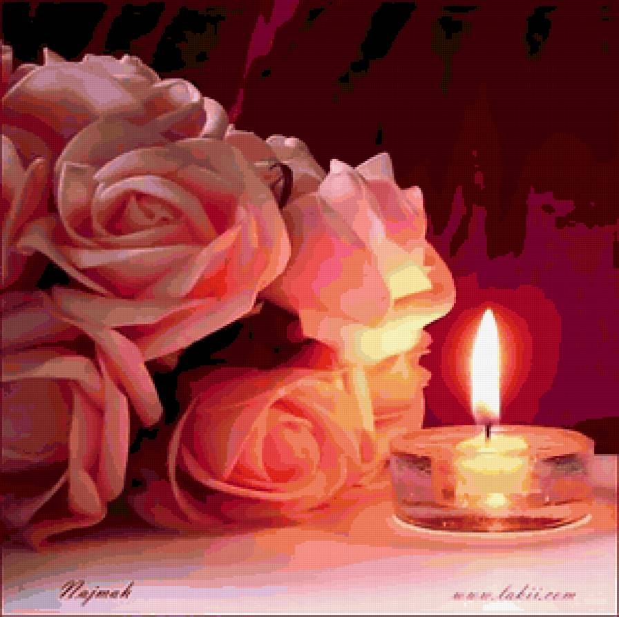 розы - цветы - предпросмотр