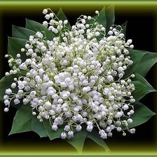 Схема вышивки «ландыши»