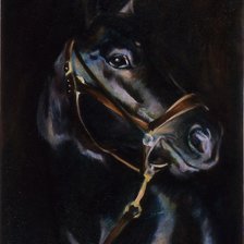 Схема вышивки «№244969»