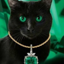 Схема вышивки «кот с зелеными глазами»