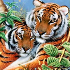 Схема вышивки «большие кошки»