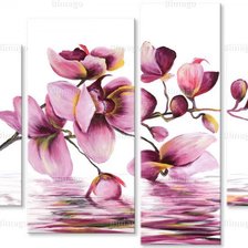 Схема вышивки «Орхидея 2»