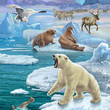 Схема вышивки «арктика»