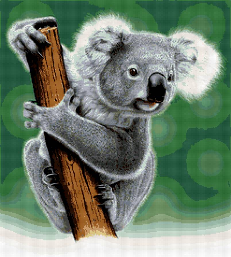 коала - животные, природа, экзотика - предпросмотр