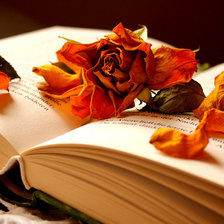 Схема вышивки «Книга»