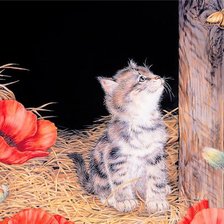 Схема вышивки «кошки»