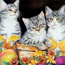 Схема вышивки «кошки»