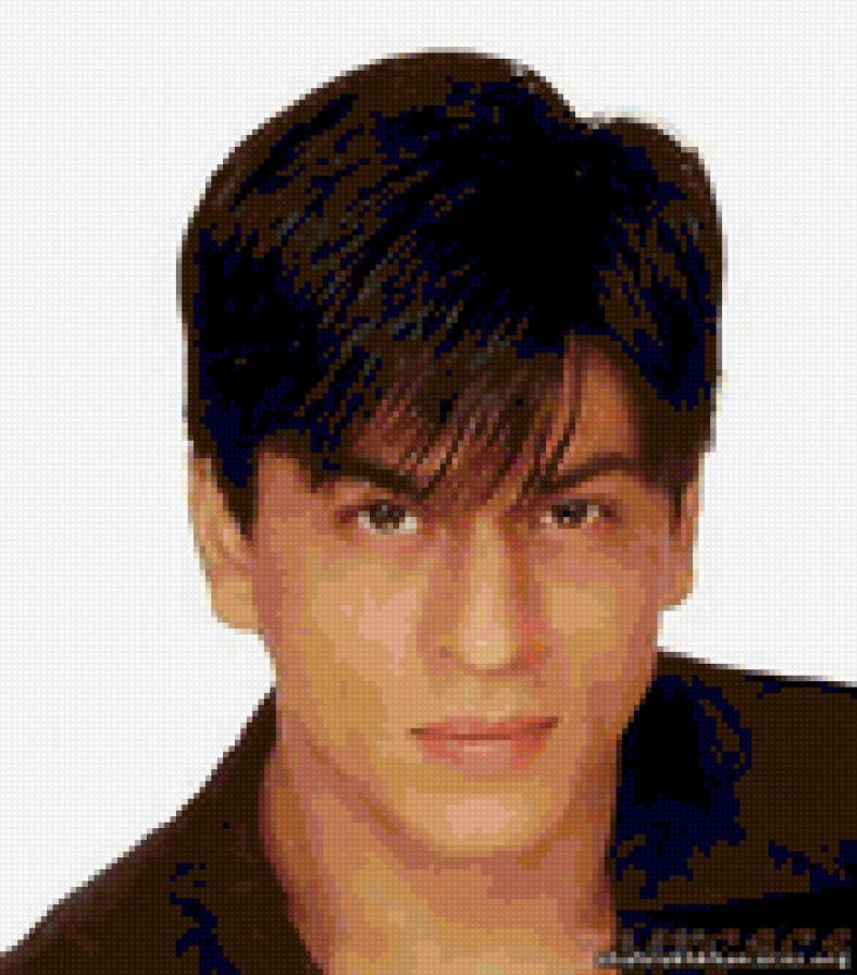 шахрукх кхан - индийские актеры - предпросмотр