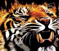 Схема вышивки «тигр»