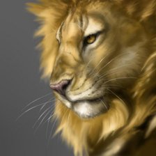 Схема вышивки «лев»