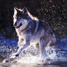 Схема вышивки «№245492»