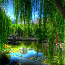 Схема вышивки «№245522»