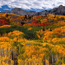 Схема вышивки «№245523»