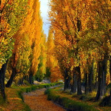 Схема вышивки «№245540»