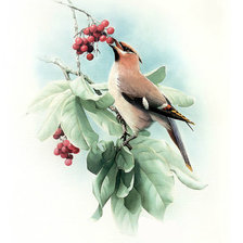 Схема вышивки «№245576»