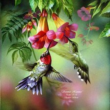 Схема вышивки «№245587»