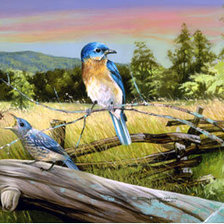 Схема вышивки «№245590»