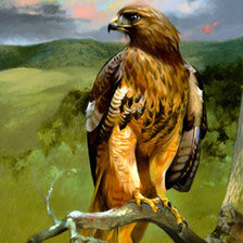 Схема вышивки «№245592»