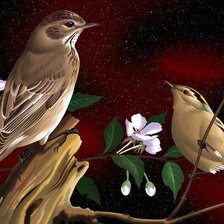 Схема вышивки «№245599»